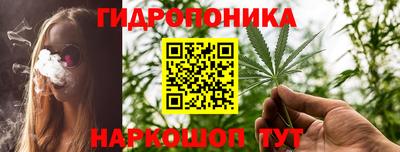 гидропоника Новодвинск
