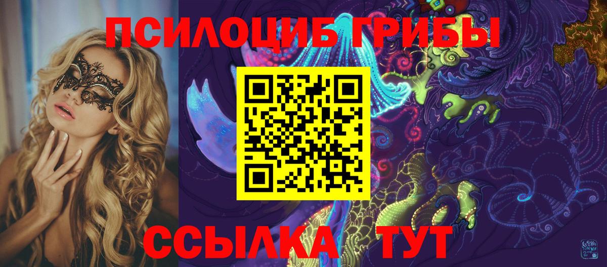 Улан-Удэ  Псилоцибиновые грибы Psilocybine cubensis  Вход с VPN 