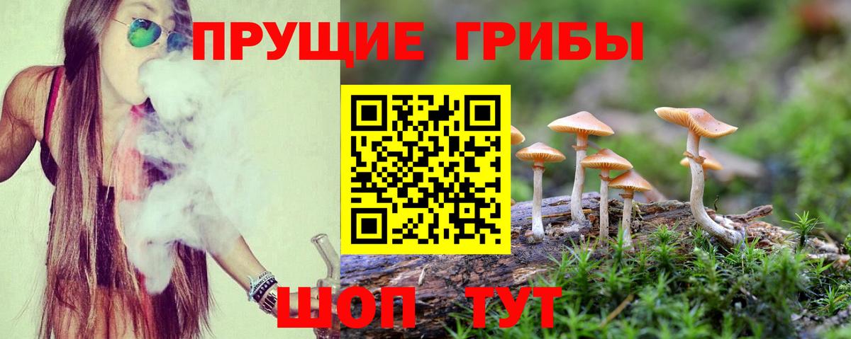 Псилоцибиновые грибы GOLDEN TEACHER Улан-Удэ